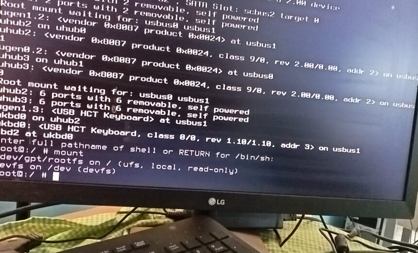 OPNSense Terhenti dan muncul emergency dan root filesystem dan solusi 100% Berhasil.