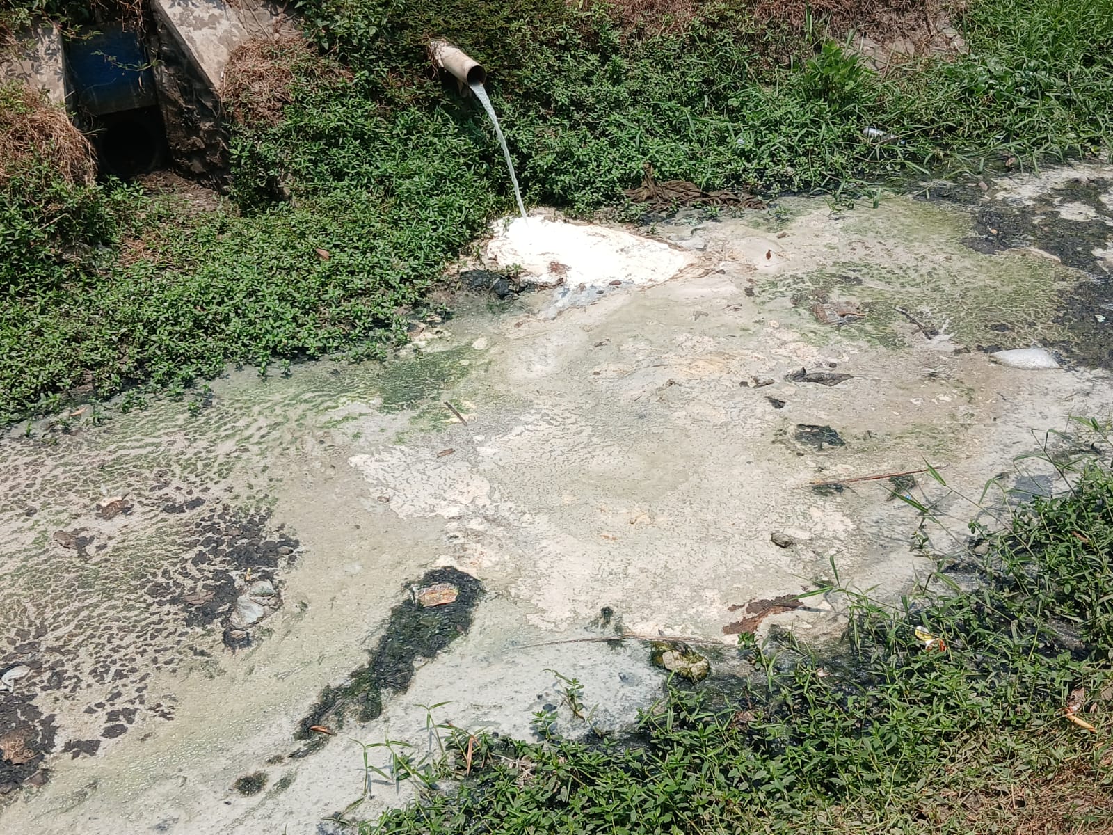 Pencemaran Limbah di Saluran Irigasi Ciputrahaji Ciamis Belum Terselesaikan