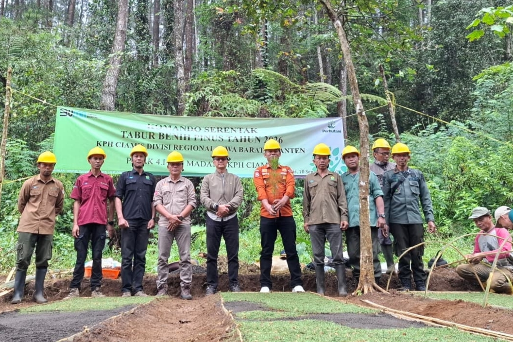 Perhutani KPH Ciamis Siapkan 178.930 Bibit Pohon untuk Lahan 727 Hektare